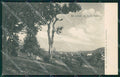 Torino Torre Pellice Panorama cartolina MT5096 – fronte