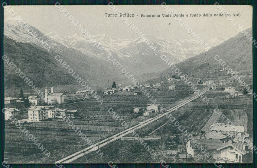 Torino Torre Pellice Viale Dante PIEGHINA cartolina MT5100 – fronte