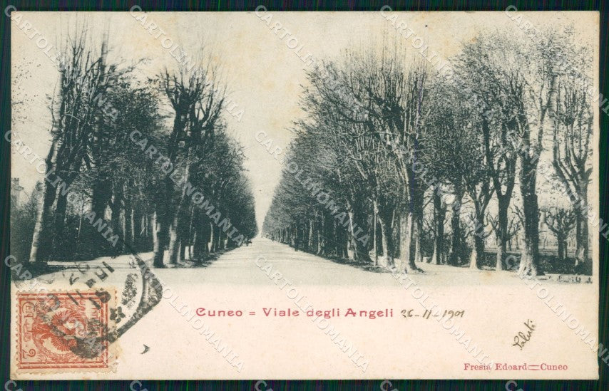 Cuneo Città Viale degli Angeli cartolina MT5519 – fronte