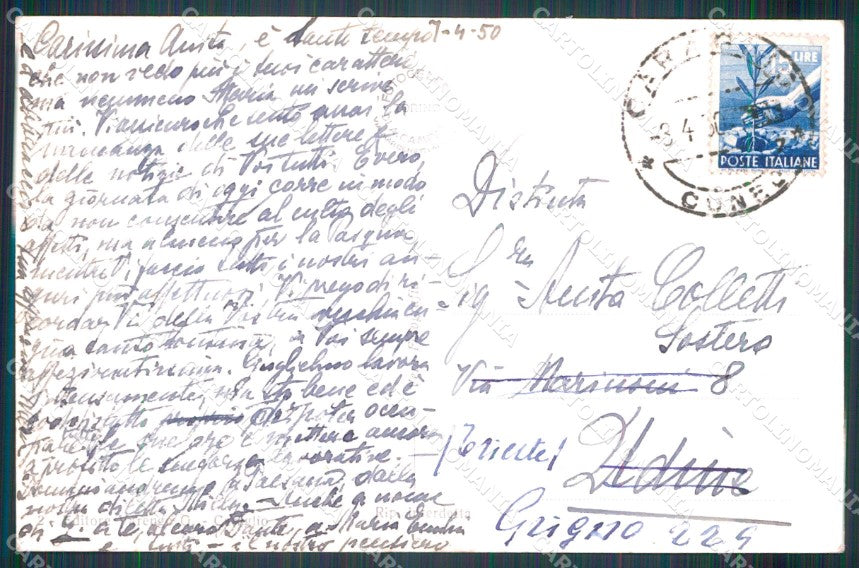 Cuneo Caraglio Palazzo Comunale Foto cartolina MT6161 – retro