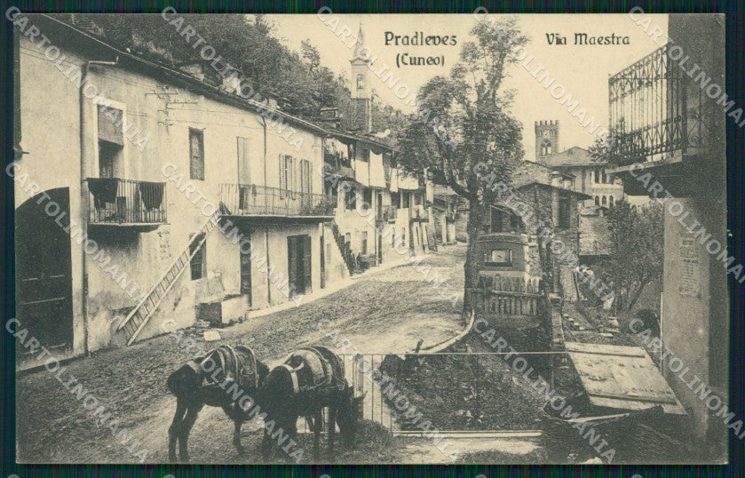Cuneo Pradleves Via Maestra cartolina MT6337 – fronte
