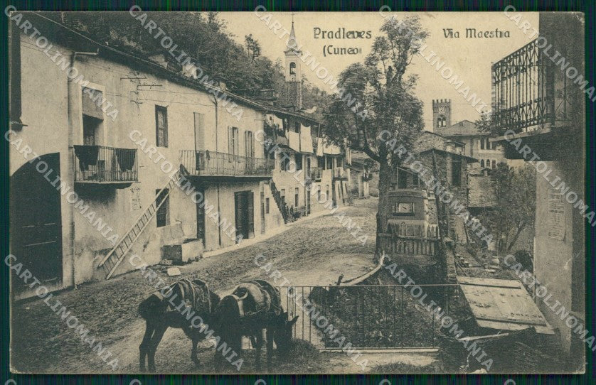 Cuneo Pradleves Via Maestra PIEGA cartolina MT6338 – fronte