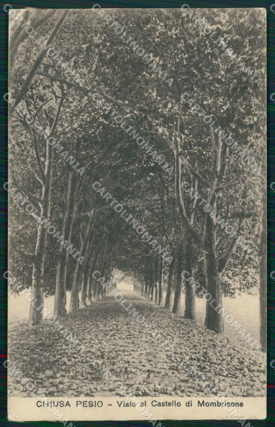 Cuneo Chiusa Pesio Viale al Castello Mombrisone PIEGATA cartolina MT6376 – fronte