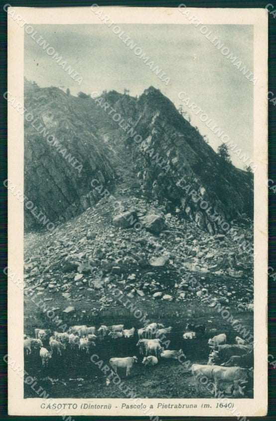 Cuneo PamparatoCasotto Pietrabruna PIEGHINE cartolina MT6464 – fronte