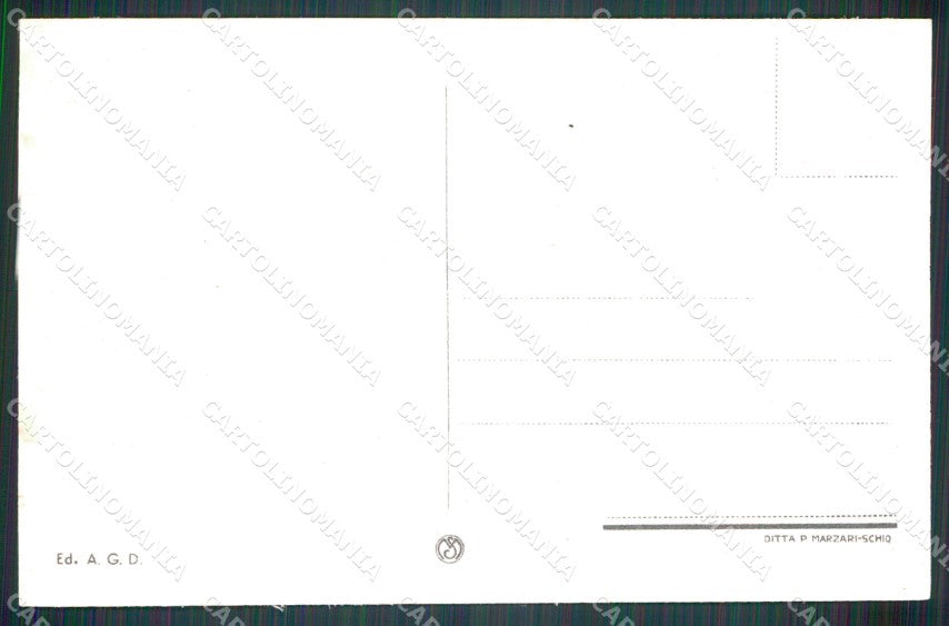 Cuneo Demonte Valle Stura Panorama cartolina MT6537 – retro