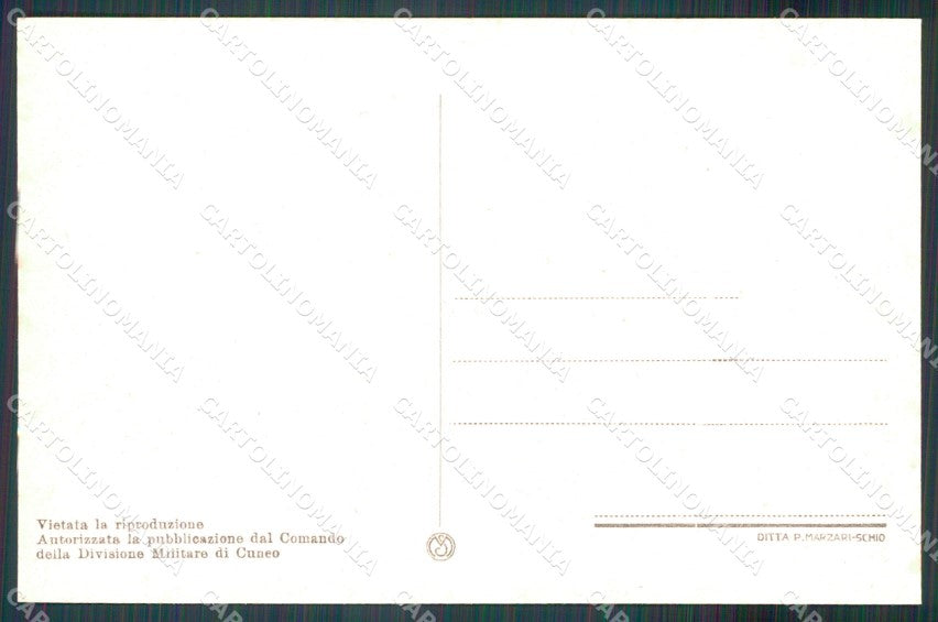 Cuneo Demonte Valle Stura Panorama cartolina MT6540 – retro