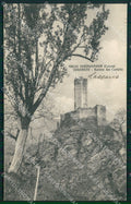 Cuneo Vernante Rovine Castello cartolina MT6697 – fronte