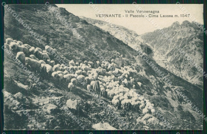 Cuneo Vernante Valle Vermenagna Gregge Cima Lausea cartolina MT6703 – fronte