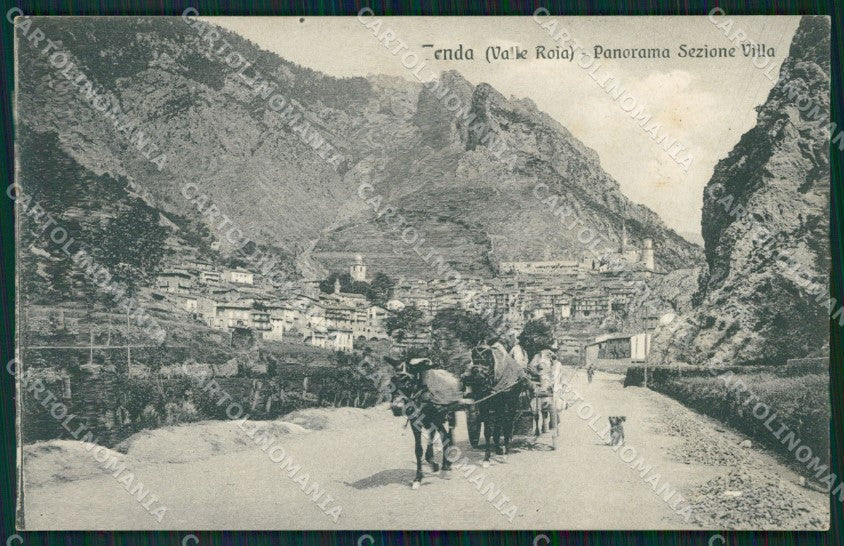 Cuneo Tenda Valle Roia Panorama Sezione Villa PIEGA cartolina MT6797 – fronte