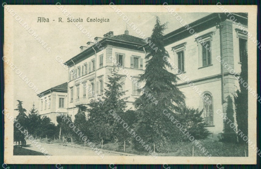 Cuneo Alba Scuola Enologica cartolina MT6993 – fronte