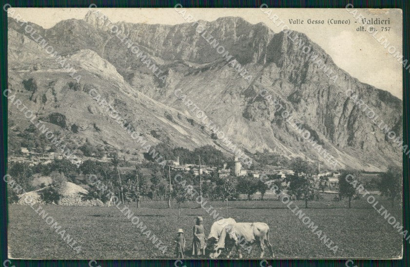 Cuneo Valdieri Terme di Valle Gesso Valle Gesso ABRASA cartolina MT7038 – fronte