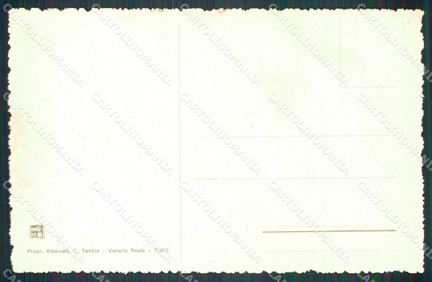 Torino Venaria Reale Mercato cartolina MT7167 – retro