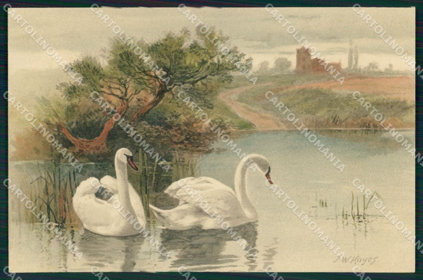 Meissner & Buch Serie 1281 Landscape Swan Art Nouveau cartolina postcard MT7578 – fronte