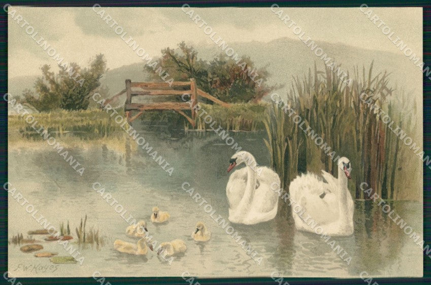 Meissner & Buch Serie 1281 Landscape Swan Art Nouveau cartolina postcard MT7579 – fronte