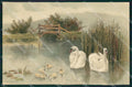 Meissner & Buch Serie 1281 Landscape Swan Art Nouveau cartolina postcard MT7579 – fronte