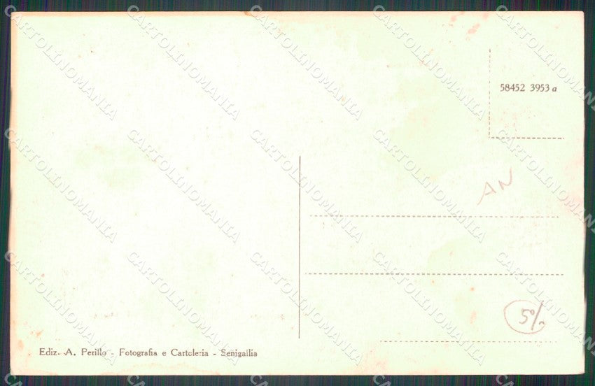Ancona Senigallia Terremoto Albergo Roma cartolina MT9809 – retro