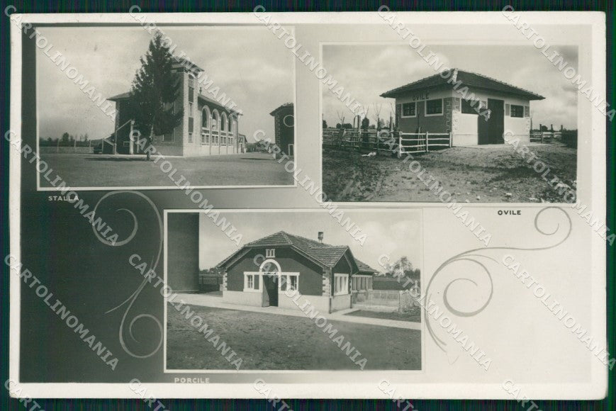 Torino Lombriasco Scuola Agraria Salesiana Foto cartolina MT9826 – fronte