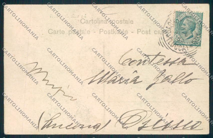 Pistoia Collodi cartolina MV0078 – retro