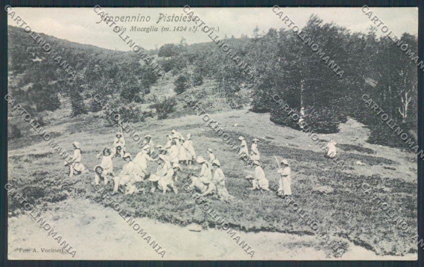 Pistoia Alla Maceglia Colonie cartolina MV0111 – fronte