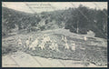 Pistoia Alla Maceglia Colonie cartolina MV0111 – fronte