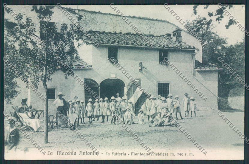 Pistoia Macchia Antonini Colonie cartolina MV0127 – fronte
