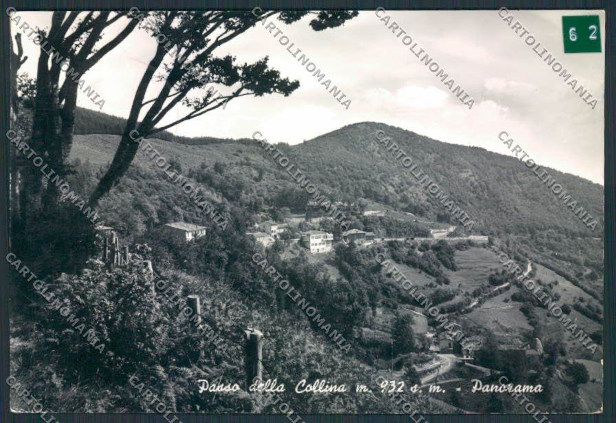 Pistoia Passo Collina ADESIVO Foto FG cartolina MV0132 – fronte