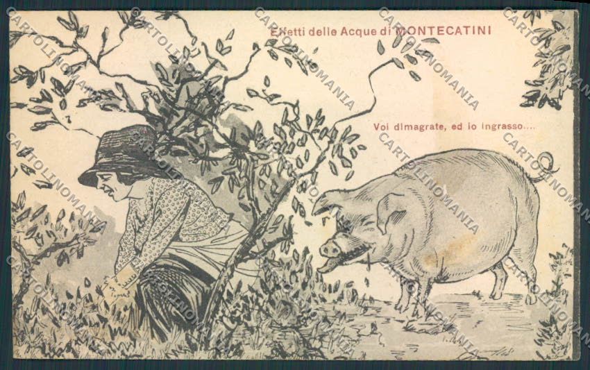 Pistoia Montecatini Umoristica cartolina MV0276 – fronte
