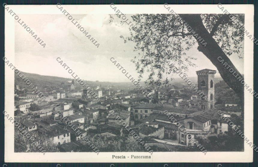 Pistoia Pescia cartolina MV0303 – fronte