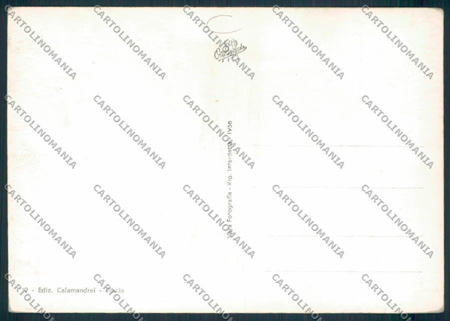 Pistoia Pescia Foto FG cartolina MV0325 – retro
