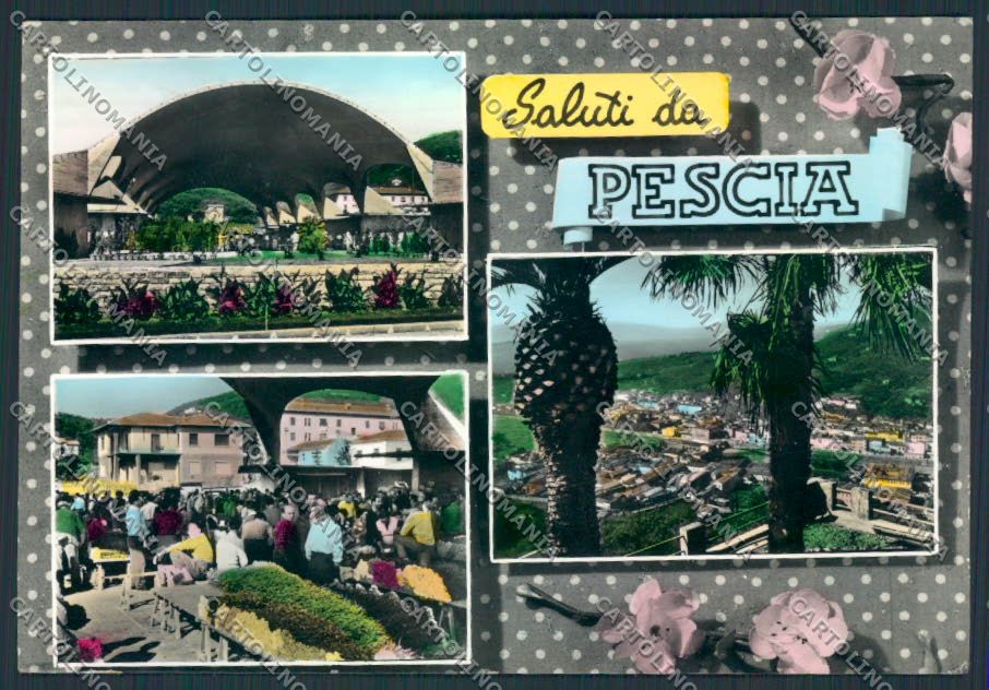 Pistoia Pescia Foto FG cartolina MV0327 – fronte