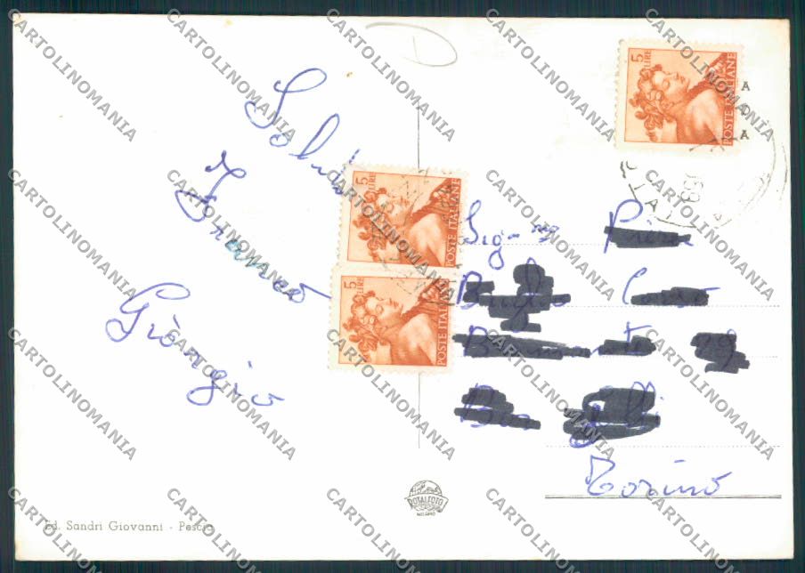 Pistoia Pescia Foto FG cartolina MV0327 – retro
