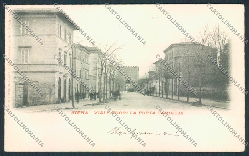 Siena cartolina MV0456 – fronte