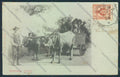 Siena Costumi cartolina MV0499 – fronte