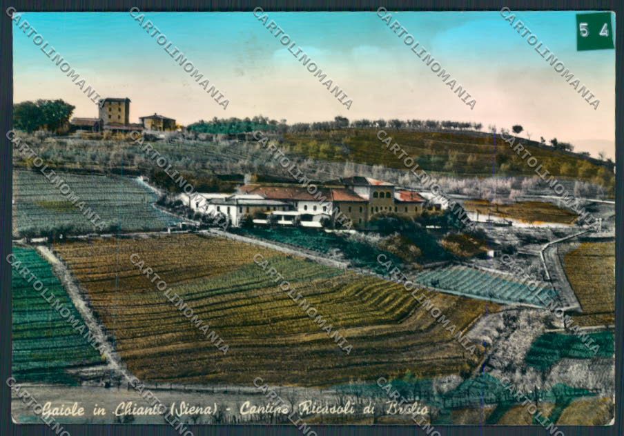Siena Gaiole ADESIVO Foto FG cartolina MV0520 – fronte