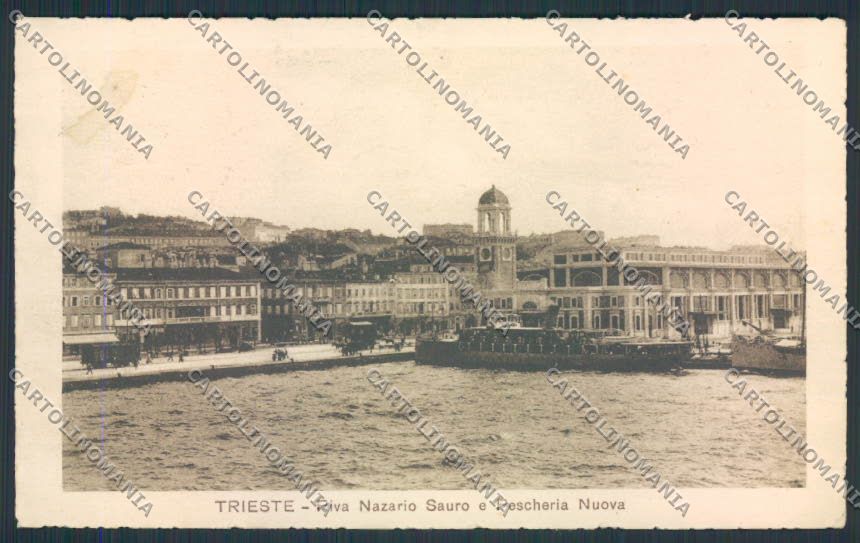 Trieste cartolina MV0604 – fronte