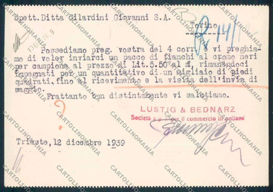 Trieste Commerciale Pellame FG cartolina MV0758 – retro