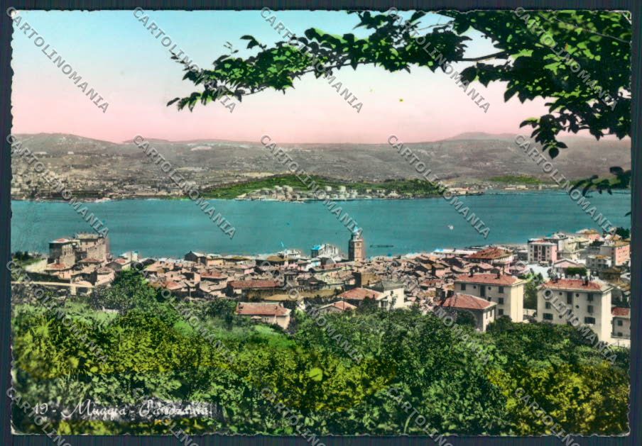 Trieste Muggia Foto FG cartolina MV0828 – fronte
