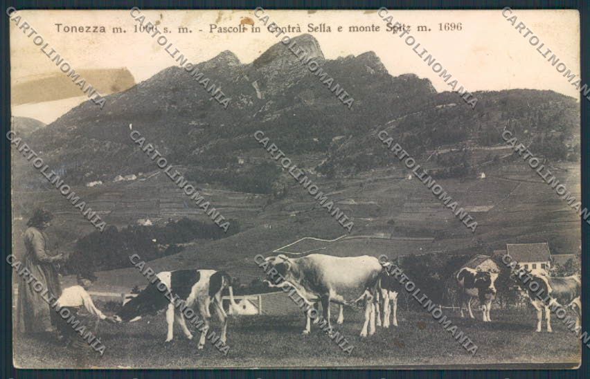 Vicenza Tonezza cartolina MV0885 – fronte