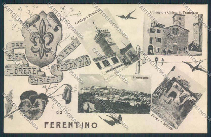 Frosinone Ferentino cartolina MV1187 – fronte