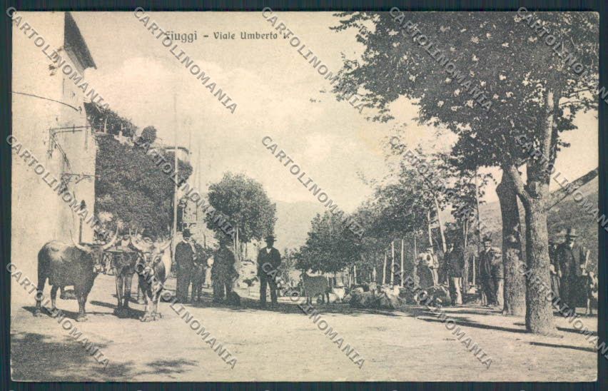 Frosinone Fiuggi cartolina MV1334 – fronte