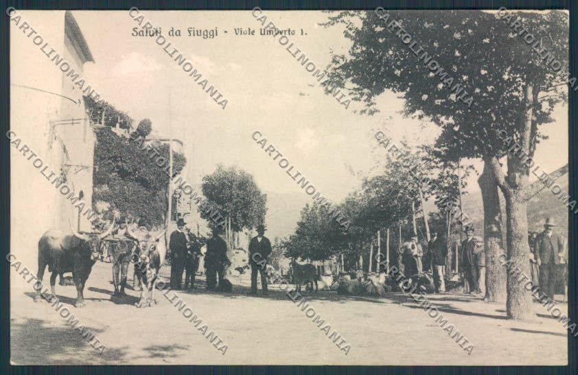 Frosinone Fiuggi cartolina MV1369 – fronte