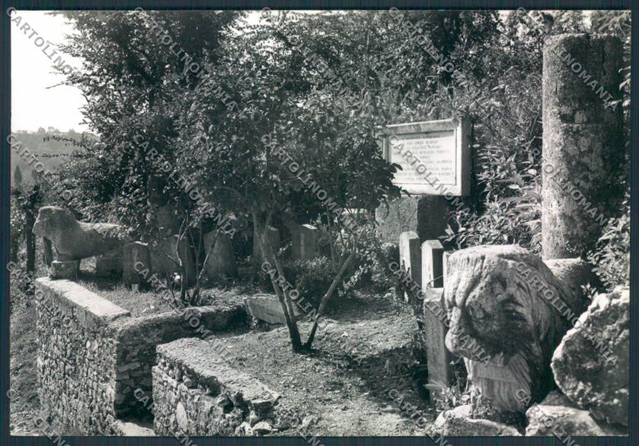 Rieti Monteleone Sabino Foto FG cartolina MV1471 – fronte
