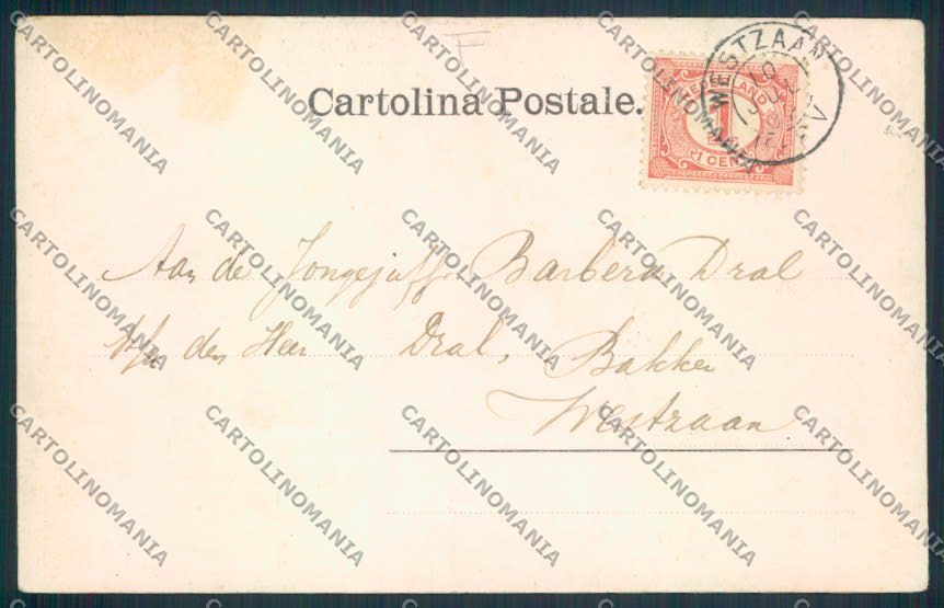 Viterbo cartolina MV1487 – retro