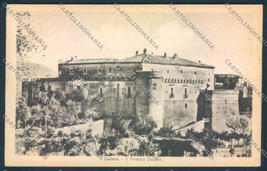 Viterbo Gallese cartolina MV1536 – fronte