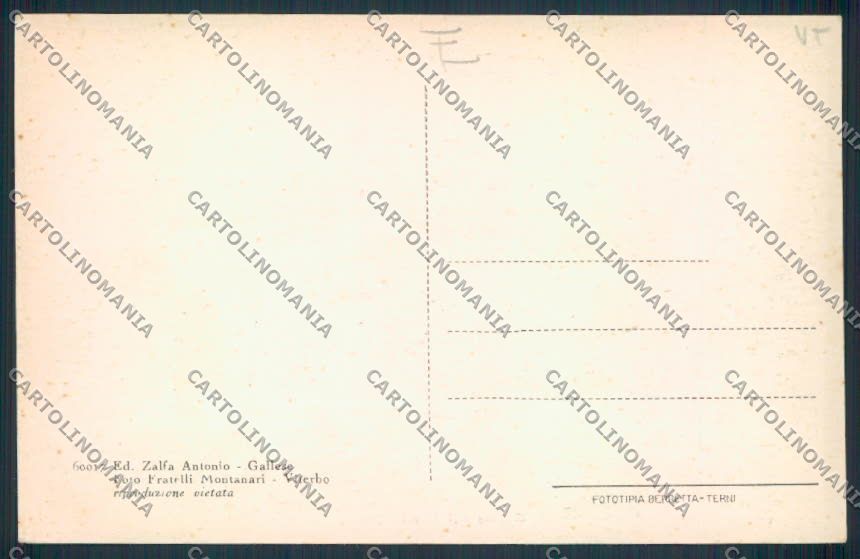 Viterbo Gallese cartolina MV1536 – retro