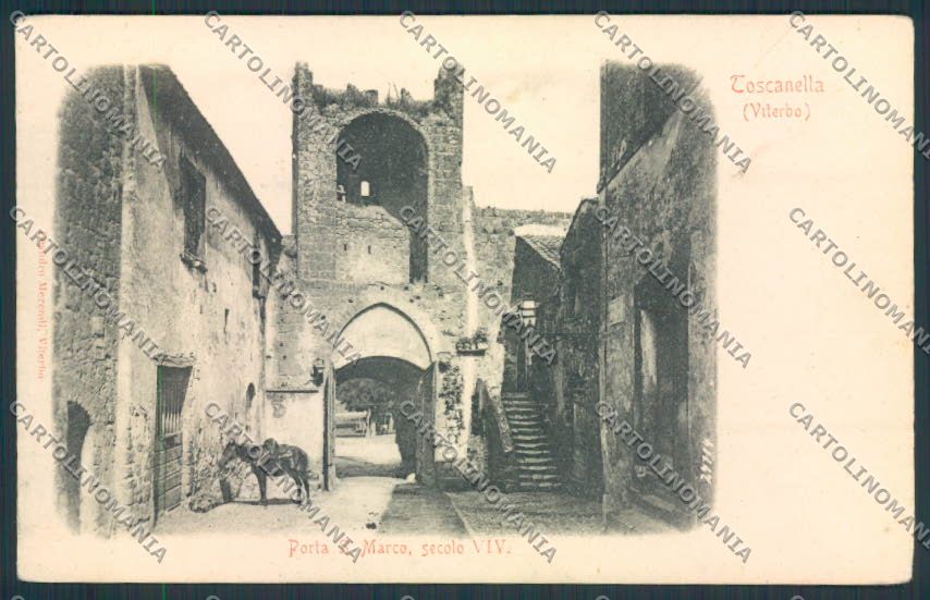 Viterbo Toscanella cartolina MV1558 – fronte