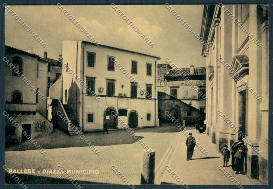 Viterbo Gallese FG cartolina MV1593 – fronte