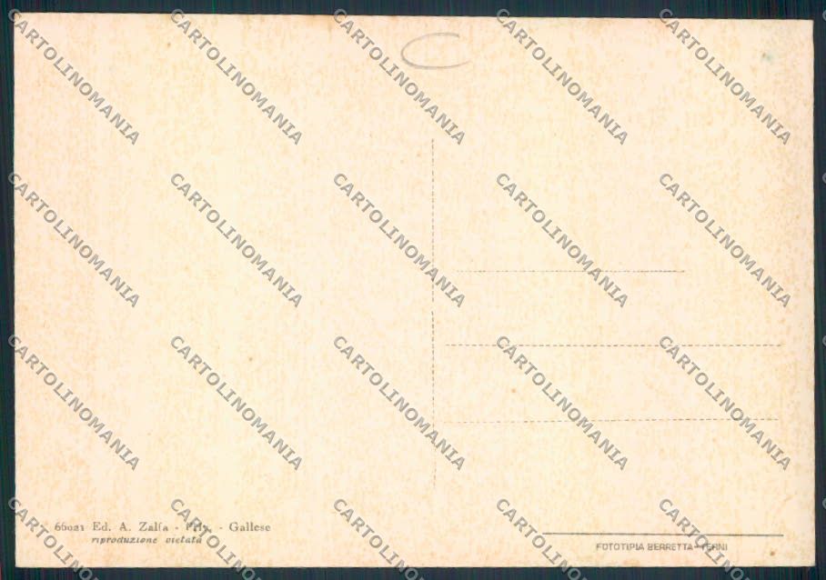 Viterbo Gallese FG cartolina MV1593 – retro