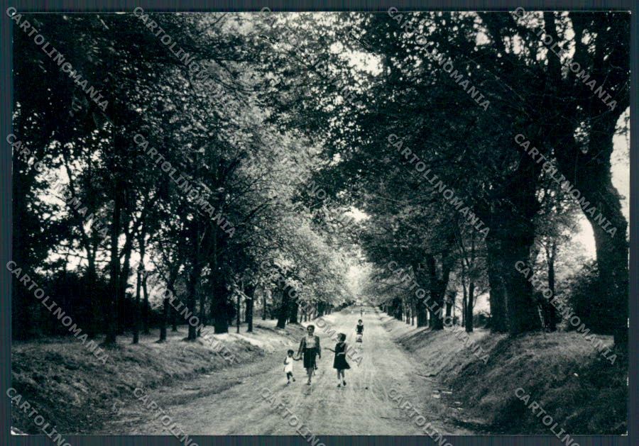 Viterbo Oriolo Romano Foto FG cartolina MV1596 – fronte