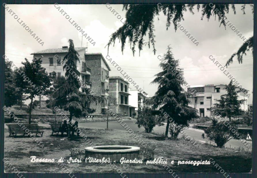 Viterbo Bassano di Sutri Foto FG cartolina MV1603 – fronte